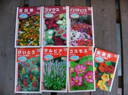 タネ購入♪