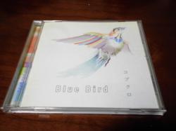 Blue Bird