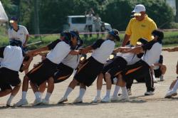 2012体育祭 綱引き