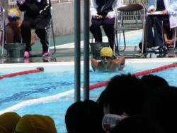 水泳大会♪