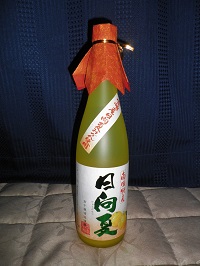 日向夏のお酒 日向夏のお酒